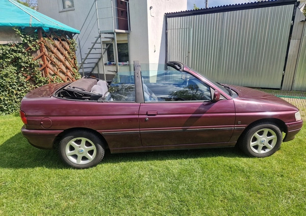 Ford Escort cena 3800 przebieg: 113150, rok produkcji 1993 z Golub-Dobrzyń małe 781